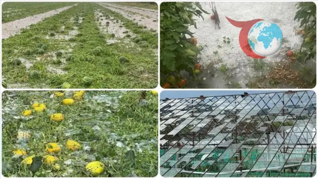 Antalya'da Dolu Felaketi: Seralar ve Yollar Zarar Gördü