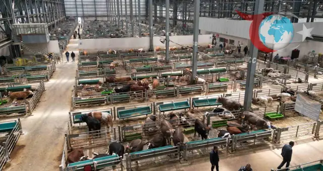 Erzurum'da Tarım ve Hayvancılıkta Büyük Devrim: Doğu Anadolu Canlı Hayvan Borsası