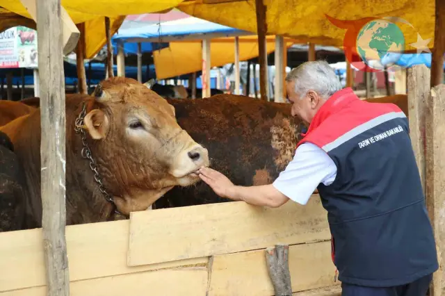 Samsun'da Kurban Bayramı Hazırlıkları: Önemli Uyarılar ve Detaylar