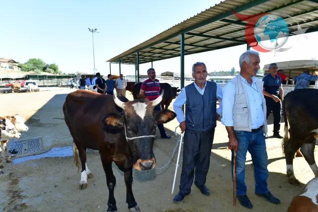 Yeşilyurt Belediyesi'nden Kurban Bayramı için Örnek Çalışmalar