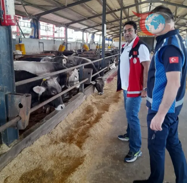Kartepe'de Kurban Bayramı Öncesi Sıkı Denetim Başladı
