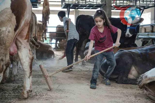 Kurban Bayramı Öncesi Küçük Özmen Kardeşlerin Büyük Fedakarlığı