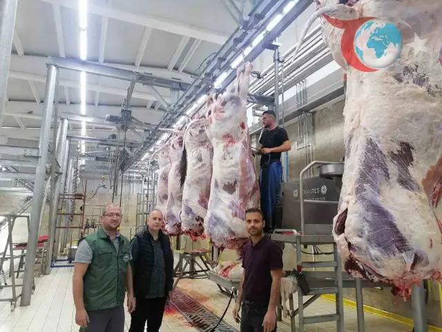 Erzincan'da Mezbahalar Kurban Bayramı Öncesi Detaylı Denetimden Geçti