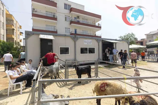 Mersin Büyükşehir Belediyesi'nden Hijyenik ve Ücretsiz Kurban Kesim Hizmeti