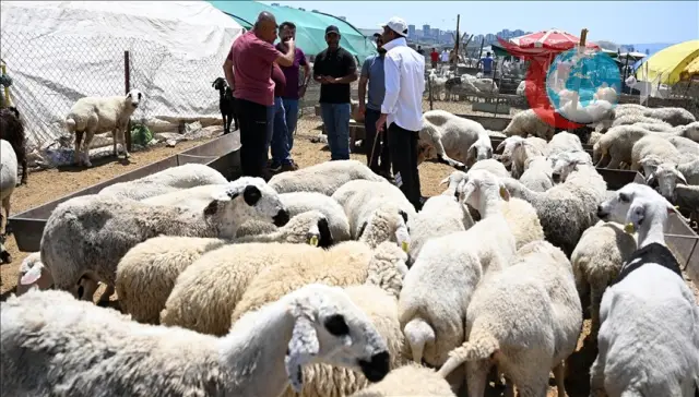 Ankara'da Kurban Kesiminde Yoğunluk Azalıyor
