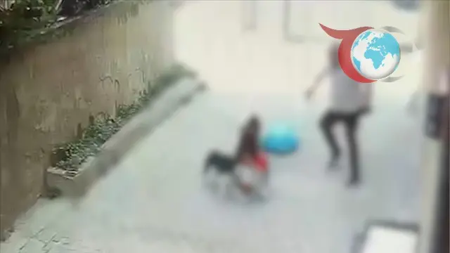 İstanbul'da Pitbull Saldırısı: İki Genç Gözetim Altında