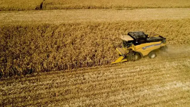 Kasım 2025 Tarım Ürünleri Fiyatları: TÜİK Verileri Açıklandı