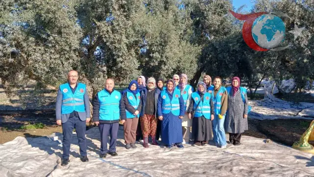 Zeytin Hasadı ve Bereket Duası: Yatağan'da Geleneksel Buluşma