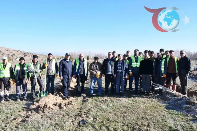 Eskişehir Beylikova’da Bin Karaçam Fidanı Geleceğe Nefes Olacak
