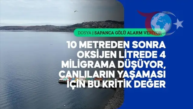 Sapanca Gölü Tehlike Altında: Kuraklık ve İnsan Baskısı Alarm Veriyor