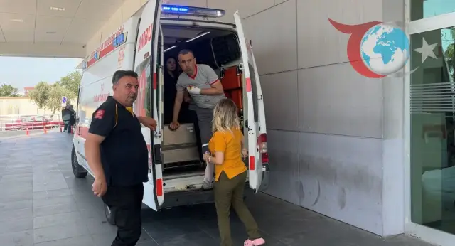 Kurban Bayramı'nda Acemi Kasapların Bilançosu: Aydın'da 460 Yaralı