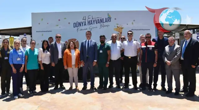 Didim'de Sokak Hayvanları İçin Örnek Rehabilitasyon Çalışmaları