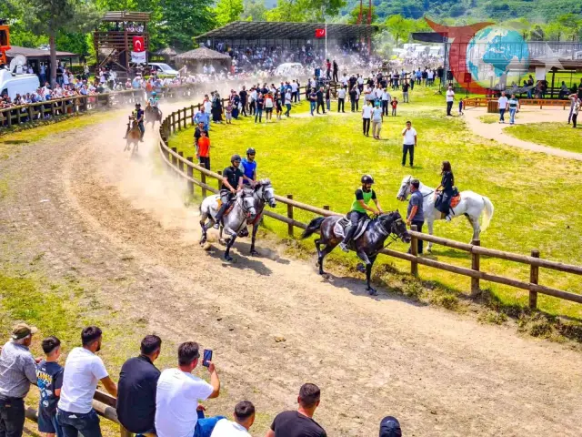 Ünye'de Büyük Heyecan: Geleneksel Rahvan At Yarışları Coşkuyla Tamamlandı