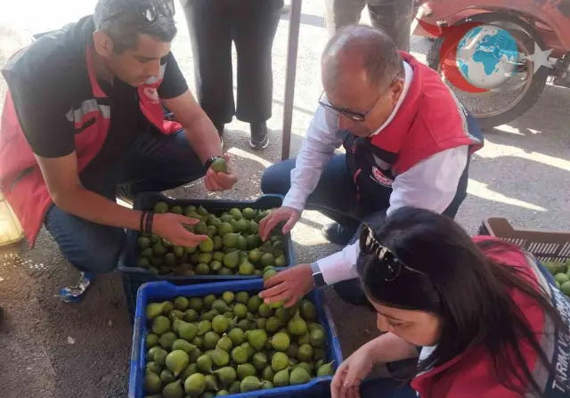 Germencik'te İlek Pazarlarında Sıkı Denetim