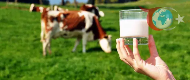 Nisan Ayında Ticari Süt Üretiminde Düşüş: İnek Sütü Verileri Açıklandı