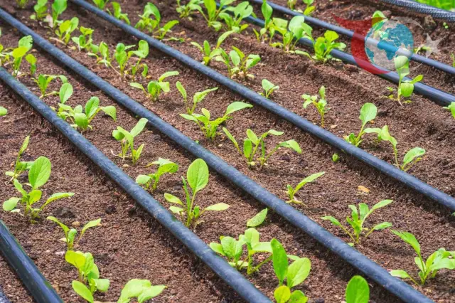 Bursa Büyükşehir Belediyesi'nden Çiftçiye Dev Destek