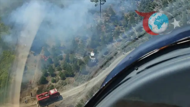 Manisa'nın Bayat Mahallesi'nde Orman Yangını Alarmı