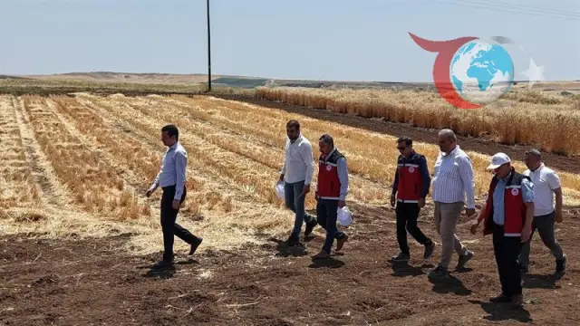 Adıyaman'da Tohumculukta Yenilikçi Çalışmalar: Tarımın Geleceği Şekilleniyor