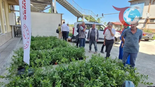 Rize'de Tarımsal Kalkınma: 9.500 Mavi Yemiş Fidanı Üreticilere Dağıtıldı