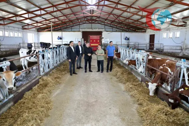Erzincan'da Hayvancılık İçin Stratejik Adım: Düve Üretim Merkezi