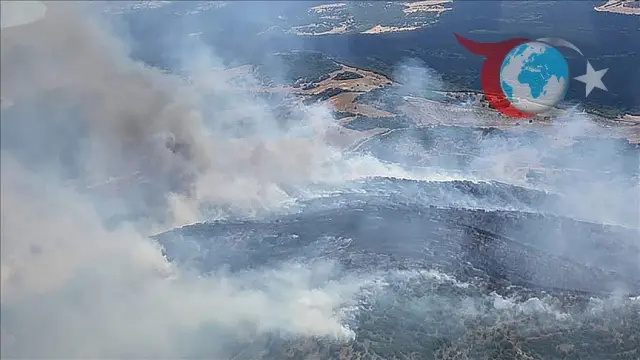 Manisa'daki Orman Yangınına Hızlı Müdahale: Havadan ve Karadan Müdahale Sürüyor