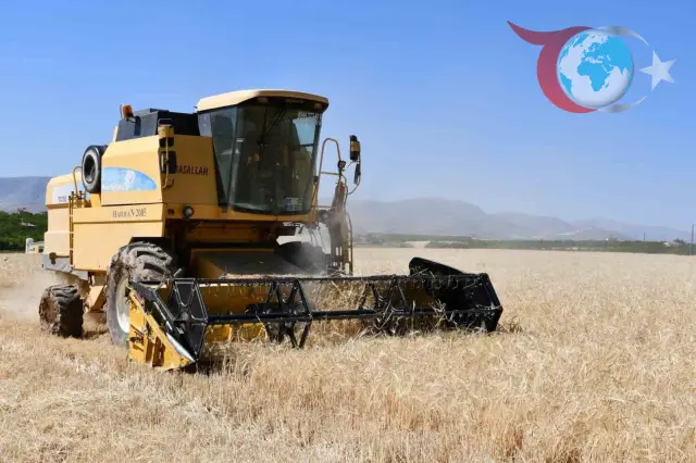Malatya'da Zirai Don Felaketi: Çiftçilere Acil Destek Çağrısı