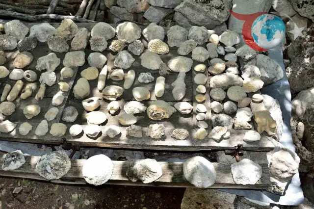 Mersin Mut'ta Tarihe Tanıklık: Fosil Araştırmaları Başladı