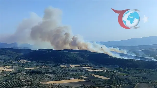 Manisa Gelenbe'deki Yangın Kontrol Altına Alındı
