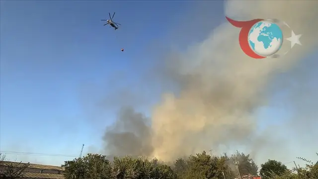 Bilecik Selimiye Köyü'nde Orman Yangınıyla Mücadele