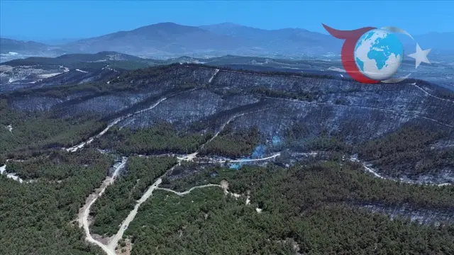 İzmir'de Orman Yangını Kontrol Altında: Alevlerin Gölgesinde Yaşananlar