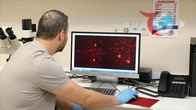 Erken Teşhisle Alzheimer Tedavisinde Yeni Ufuklar Açılıyor