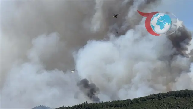 Sakarya-Bilecik Arasında Çıkan Orman Yangını Kontrol Altına Alınmaya Çalışılıyor