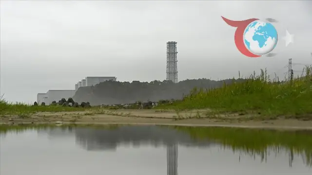 Çin ve Japonya'nın Deniz Ürünleri İthalatında Yeni Dönem: İyileşen İlişkiler ve Güvenlik Standartları