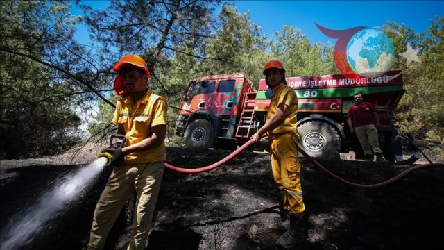 İzmir'deki Orman Yangınlarıyla Mücadelede Büyük Çaba