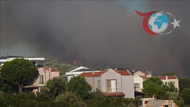 İzmir'de Orman Yangınlarıyla Mücadele: Havadan ve Karadan Yoğun Müdahale