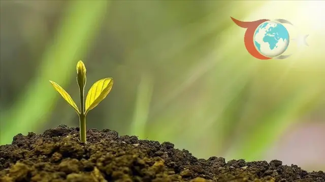Türkiye’nin İlk İklim Kanunu ile Yeşil Dönüşüm Başlıyor