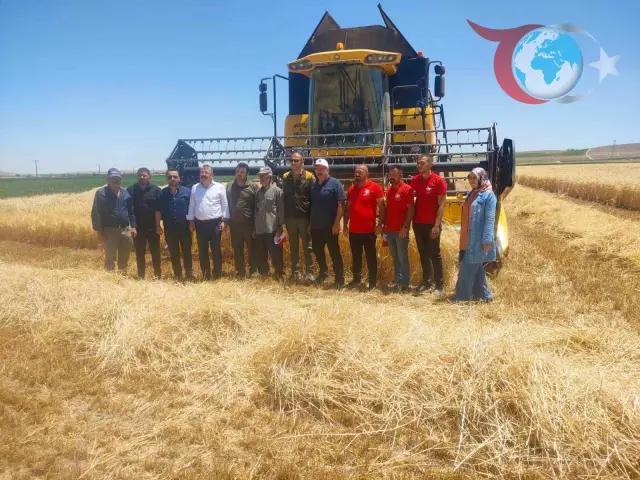 Konya Karapınar'da Hububat Hasadı Hız Kazandı
