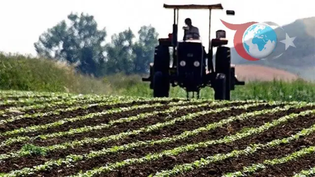 Tarım Destek Ödemeleri Çiftçilerin Hesaplarına Aktarılıyor