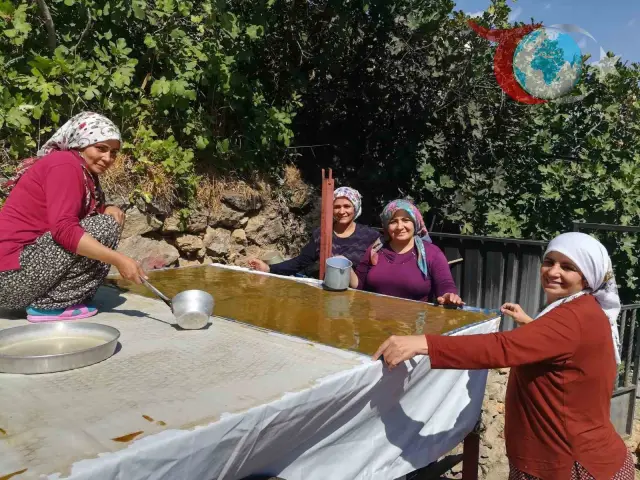 Erzincan’da Geleneksel Pestil Üretimi: Dut Mevsimi Başladı