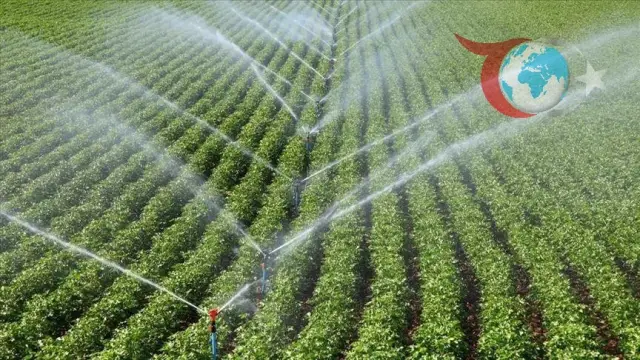 Kırsal Kalkınmada Büyük Adım: IPARD Programları ve Yatırımlar