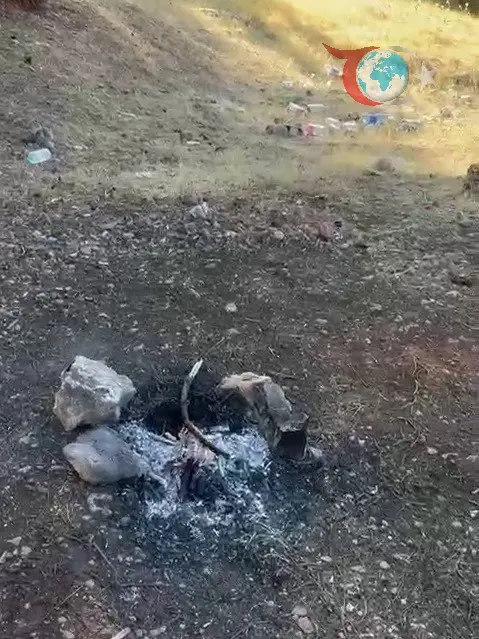 Ormanda Bırakılan Ateş Felaketin Eşiğinden Döndürdü