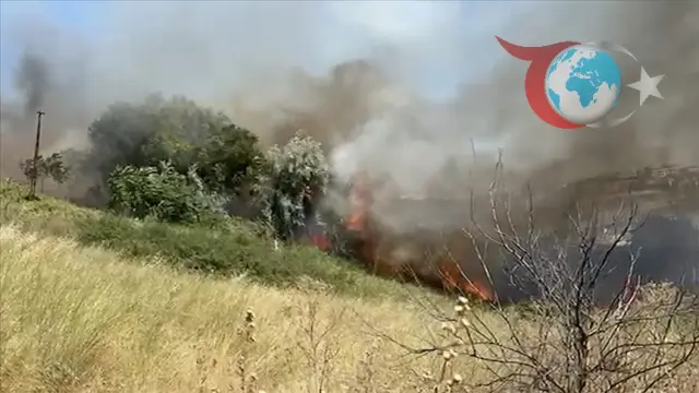 İstanbul'da Korkutan Otluk Yangını: Rüzgarın Etkisiyle Alevler Yayıldı