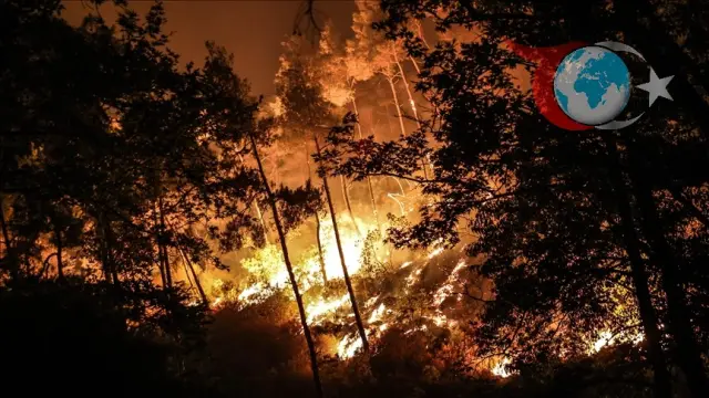 Lazkiye'de Devam Eden Orman Yangınları: Sivil Savunma Mücadelesi