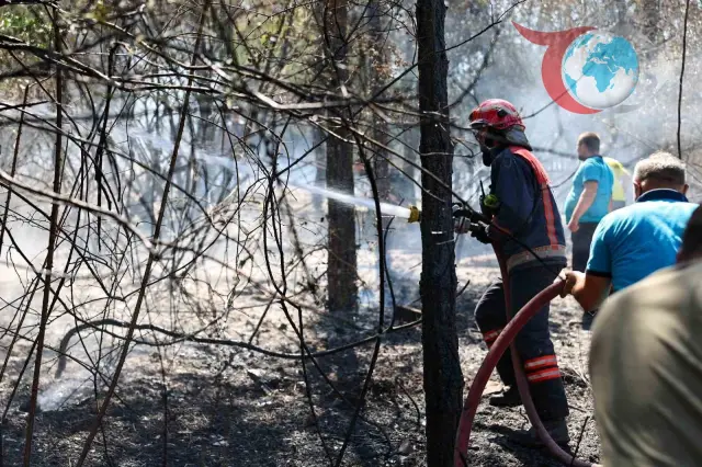 Orman Yangınlarına Karşı Kritik Uyarılar: İnsan Kaynaklı Riskler ve Önlemler
