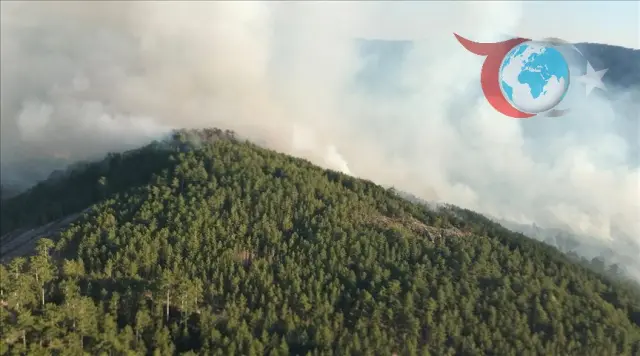 Balıkesir'de Orman Yangınıyla Mücadele Sürüyor