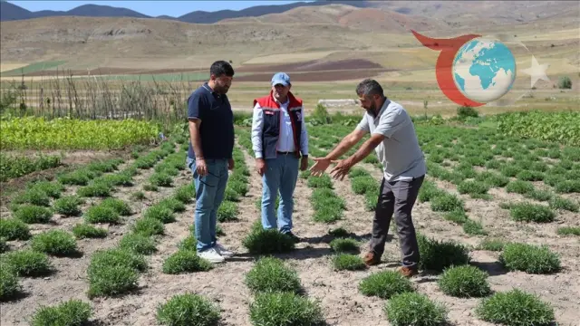 Bayburt’un Tarhunu Amerikalı Ortaklar ile Küresel Arenada!