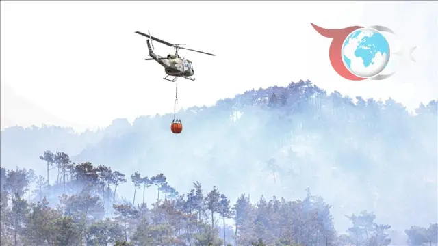 Lazkiye'deki Yangın Felaketi Kontrol Altına Alınamıyor