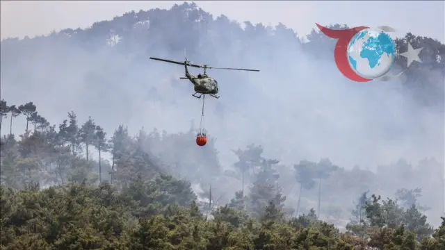 Lazkiye'de Devam Eden Orman Yangınları ve Güvenlik Çalışmaları