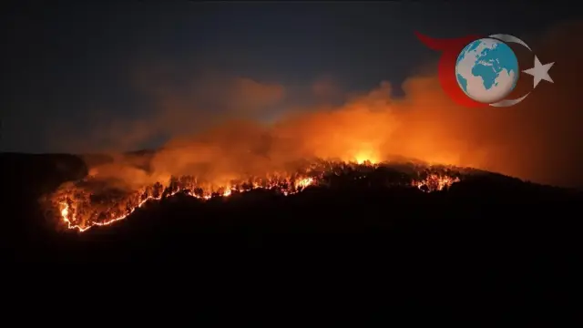 Çankırı'da Orman Yangını Yeniden Başladı