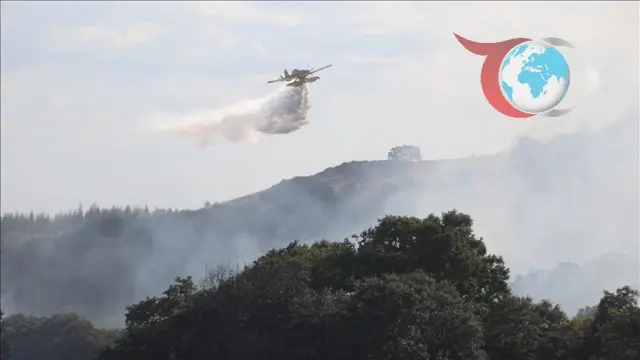 Kırklareli'nde Orman Yangını: Ekipler Yangını Kontrol Altına Almak İçin Seferber Oldu